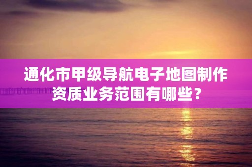 通化市甲级导航电子地图制作资质业务范围有哪些？