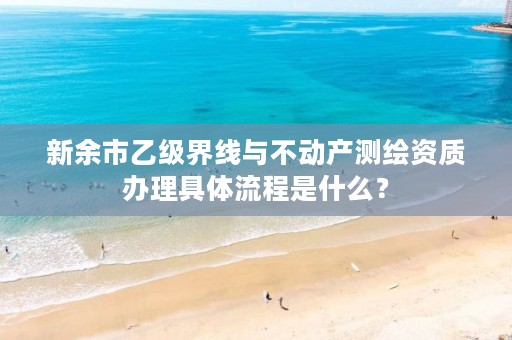 新余市乙级界线与不动产测绘资质办理具体流程是什么？