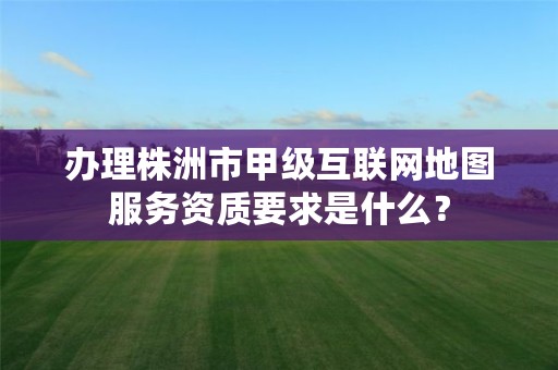 办理株洲市甲级互联网地图服务资质要求是什么？