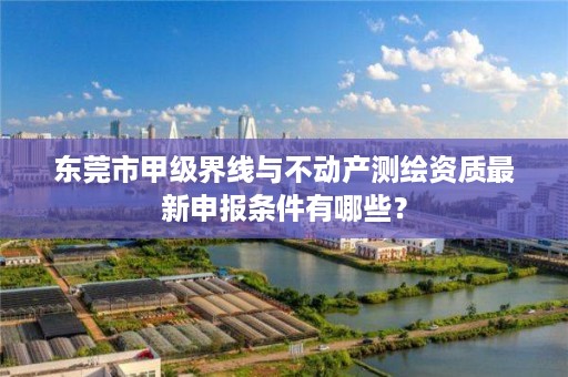 东莞市甲级界线与不动产测绘资质最新申报条件有哪些？