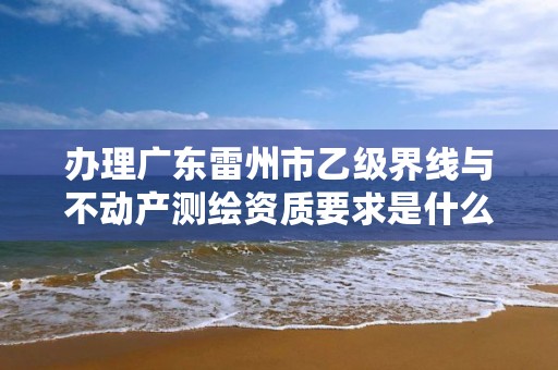 办理广东雷州市乙级界线与不动产测绘资质要求是什么呢？