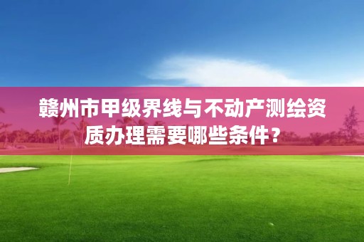 赣州市甲级界线与不动产测绘资质办理需要哪些条件？