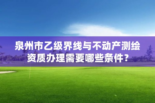 泉州市乙级界线与不动产测绘资质办理需要哪些条件？