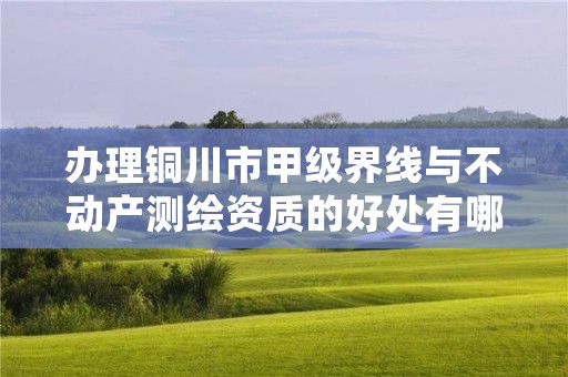 办理铜川市甲级界线与不动产测绘资质的好处有哪些呢？