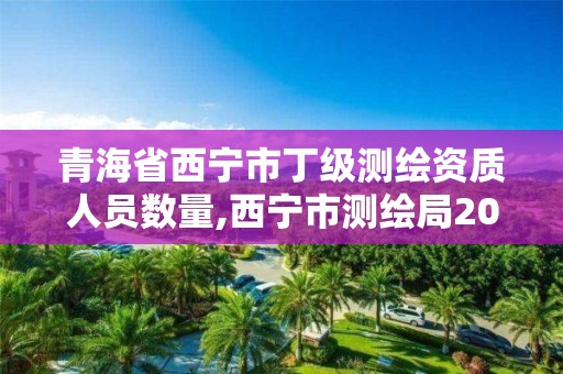 青海省西宁市丁级测绘资质人员数量,西宁市测绘局2020招聘