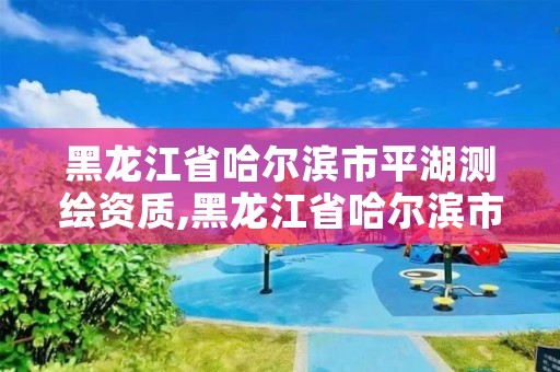 黑龙江省哈尔滨市平湖测绘资质,黑龙江省哈尔滨市测绘局