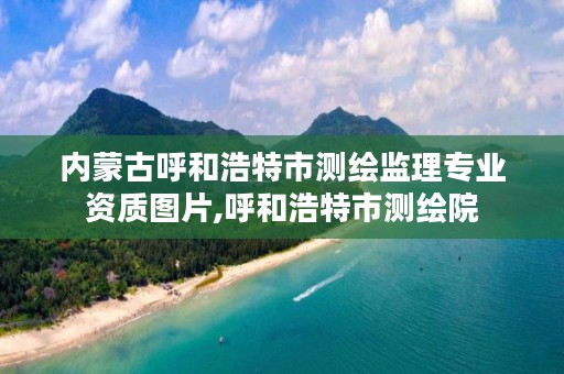 内蒙古呼和浩特市测绘监理专业资质图片,呼和浩特市测绘院