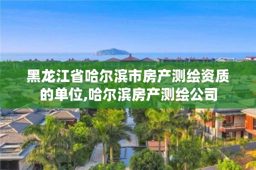 黑龙江省哈尔滨市房产测绘资质的单位,哈尔滨房产测绘公司