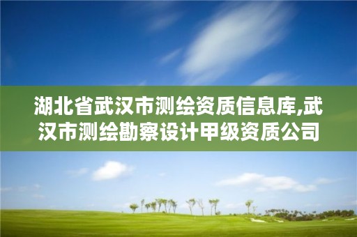 湖北省武汉市测绘资质信息库,武汉市测绘勘察设计甲级资质公司