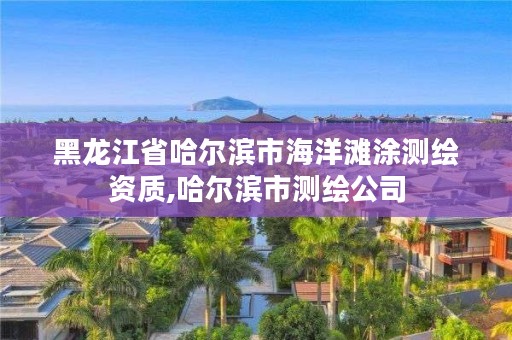 黑龙江省哈尔滨市海洋滩涂测绘资质,哈尔滨市测绘公司