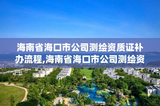 海南省海口市公司测绘资质证补办流程,海南省海口市公司测绘资质证补办流程图