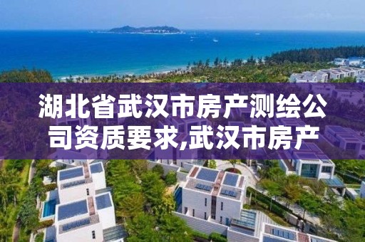 湖北省武汉市房产测绘公司资质要求,武汉市房产测绘中心是什么性质