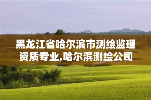 黑龙江省哈尔滨市测绘监理资质专业,哈尔滨测绘公司有哪些