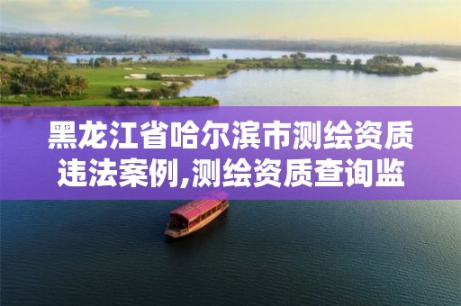 黑龙江省哈尔滨市测绘资质违法案例,测绘资质查询监管平台