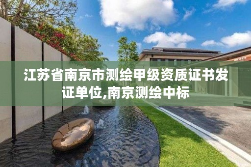 江苏省南京市测绘甲级资质证书发证单位,南京测绘中标