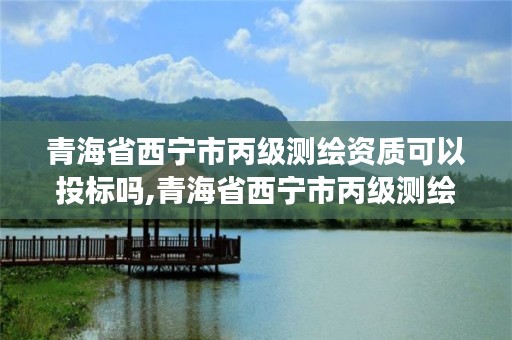 青海省西宁市丙级测绘资质可以投标吗,青海省西宁市丙级测绘资质可以投标吗现在