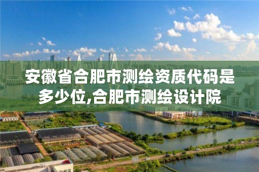 安徽省合肥市测绘资质代码是多少位,合肥市测绘设计院