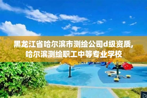 黑龙江省哈尔滨市测绘公司d级资质,哈尔滨测绘职工中等专业学校