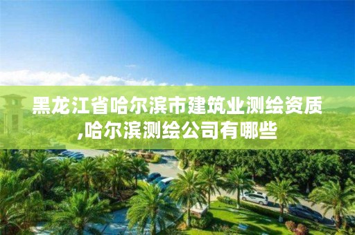 黑龙江省哈尔滨市建筑业测绘资质,哈尔滨测绘公司有哪些