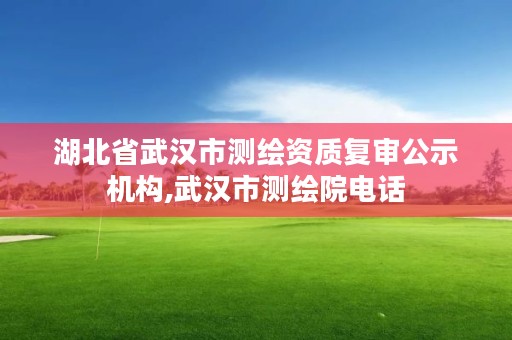 湖北省武汉市测绘资质复审公示机构,武汉市测绘院电话