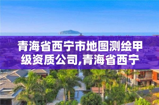 青海省西宁市地图测绘甲级资质公司,青海省西宁市地图测绘甲级资质公司有几家