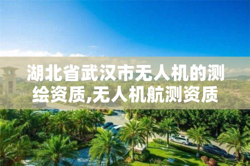 湖北省武汉市无人机的测绘资质,无人机航测资质