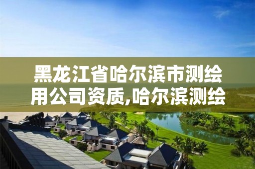 黑龙江省哈尔滨市测绘用公司资质,哈尔滨测绘公司电话