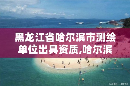 黑龙江省哈尔滨市测绘单位出具资质,哈尔滨市测绘公司