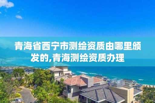 青海省西宁市测绘资质由哪里颁发的,青海测绘资质办理