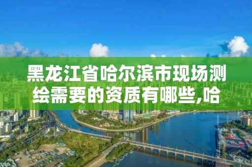 黑龙江省哈尔滨市现场测绘需要的资质有哪些,哈尔滨测绘院地址