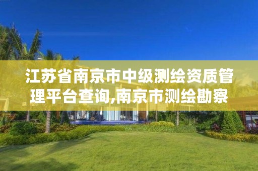 江苏省南京市中级测绘资质管理平台查询,南京市测绘勘察研究院有限公司