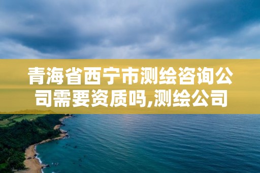 青海省西宁市测绘咨询公司需要资质吗,测绘公司资质要求