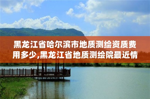 黑龙江省哈尔滨市地质测绘资质费用多少,黑龙江省地质测绘院最近情况