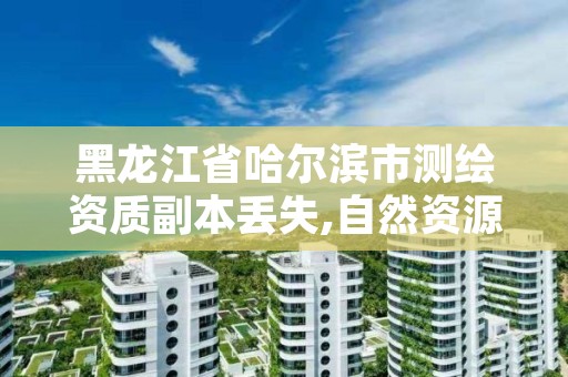 黑龙江省哈尔滨市测绘资质副本丢失,自然资源部办公厅关于开展测绘资质复审换证工作的通知