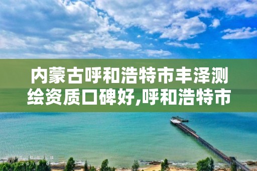 内蒙古呼和浩特市丰泽测绘资质口碑好,呼和浩特市测绘仪器店