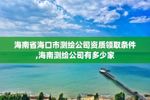 海南省海口市测绘公司资质领取条件,海南测绘公司有多少家