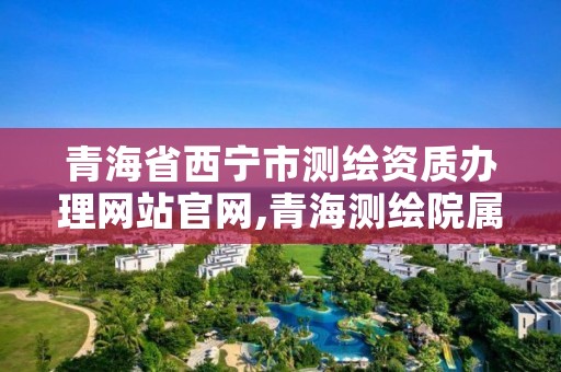 青海省西宁市测绘资质办理网站官网,青海测绘院属于什么单位