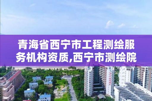 青海省西宁市工程测绘服务机构资质,西宁市测绘院招聘公示