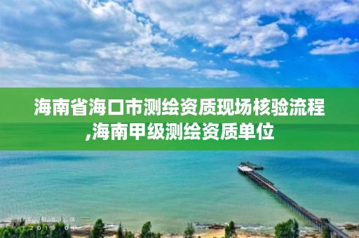 海南省海口市测绘资质现场核验流程,海南甲级测绘资质单位