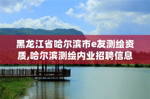 黑龙江省哈尔滨市e友测绘资质,哈尔滨测绘内业招聘信息