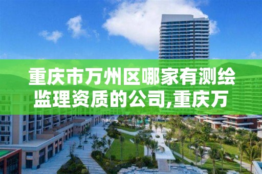 重庆市万州区哪家有测绘监理资质的公司,重庆万州监理单位招聘信息