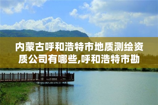 内蒙古呼和浩特市地质测绘资质公司有哪些,呼和浩特市勘察测绘院