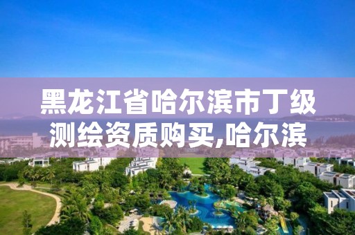 黑龙江省哈尔滨市丁级测绘资质购买,哈尔滨测绘局怎么样