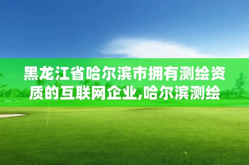 黑龙江省哈尔滨市拥有测绘资质的互联网企业,哈尔滨测绘公司招聘