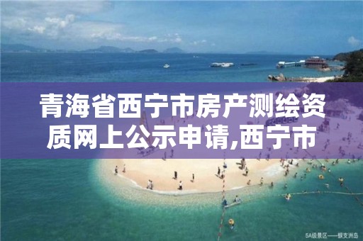 青海省西宁市房产测绘资质网上公示申请,西宁市城西区测绘院