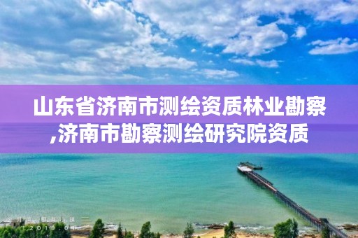 山东省济南市测绘资质林业勘察,济南市勘察测绘研究院资质