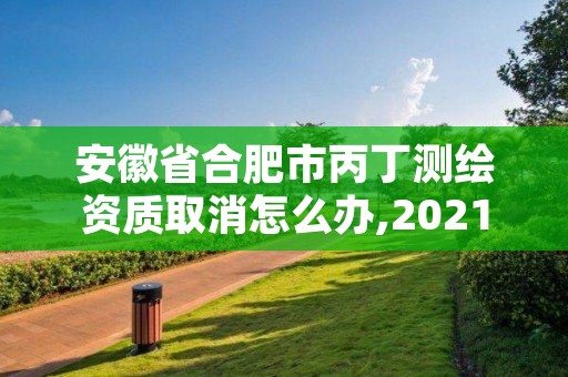 安徽省合肥市丙丁测绘资质取消怎么办,2021年丙级测绘资质延期