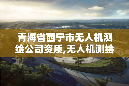 青海省西宁市无人机测绘公司资质,无人机测绘公司排行榜