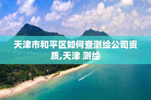 天津市和平区如何查测绘公司资质,天津 测绘