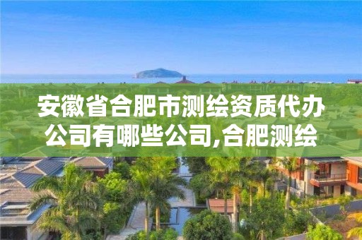 安徽省合肥市测绘资质代办公司有哪些公司,合肥测绘单位